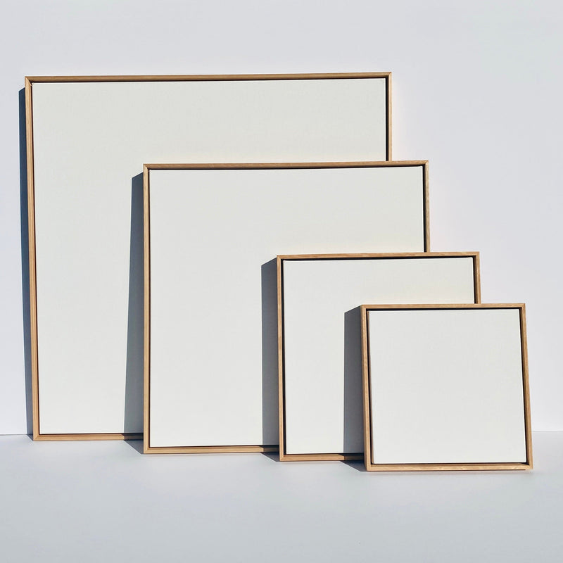 Canvas & Float Frame (Twin Pack)