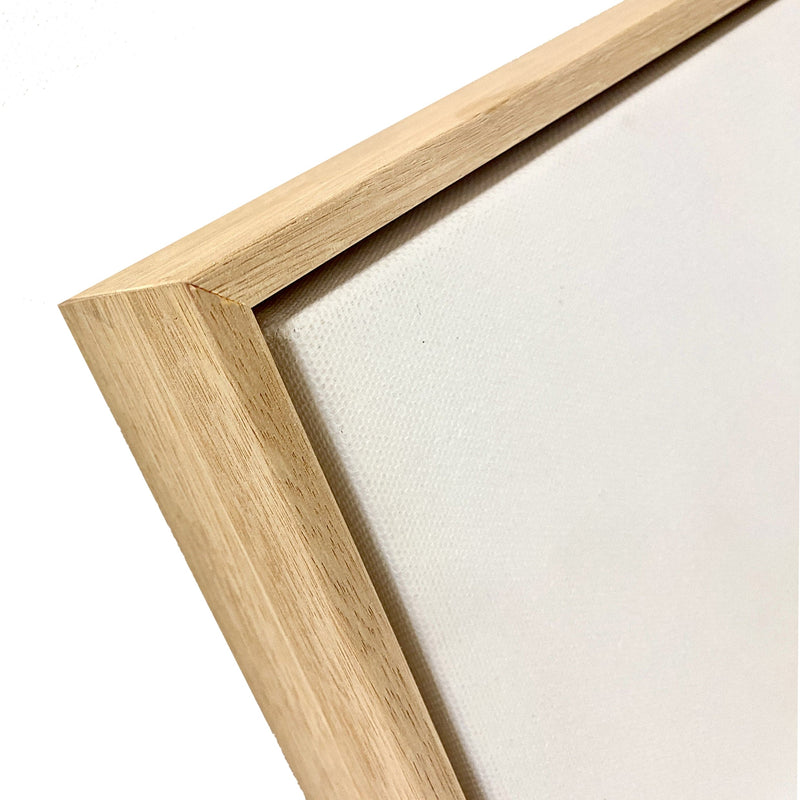 Canvas & Float Frame (Twin Pack)