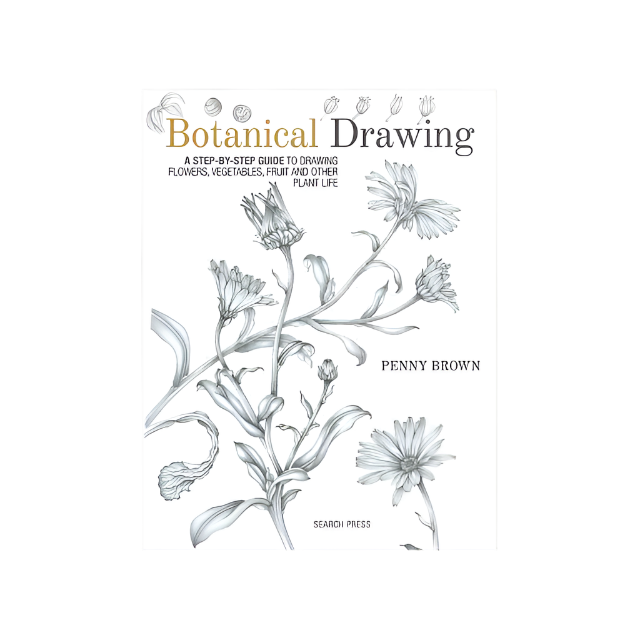 Step by Step Guide to Botanical Drawing