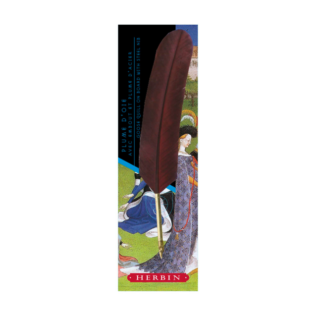 Goose Quill & Steel Writing Nib